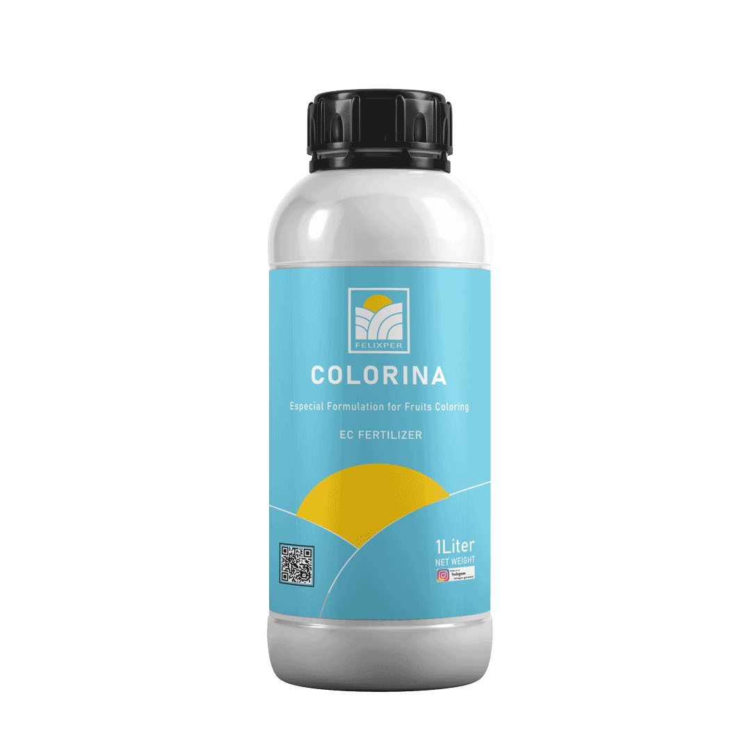 Colorina felixper